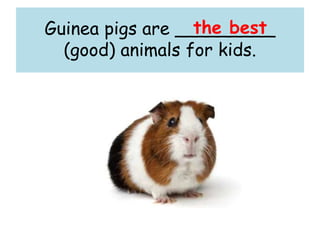 Guinea pigs are _________
(good) animals for kids.
the best
 