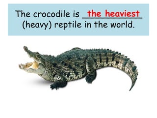 The crocodile is ___________
(heavy) reptile in the world.
the heaviest
 