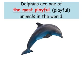 Dolphins are one of
_____________ (playful)
animals in the world.
the most playful
 