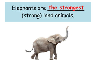 Elephants are ___________
(strong) land animals.
the strongest
 