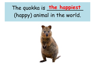 The quokka is ___________
(happy) animal in the world.
the happiest
 