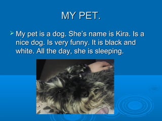 MY PET.MY PET.
 My pet is a dog. She’s name is Kira. Is aMy pet is a dog. She’s name is Kira. Is a
nice dog. Is very funny. It is black andnice dog. Is very funny. It is black and
white. All the day, she is sleeping.white. All the day, she is sleeping.
 