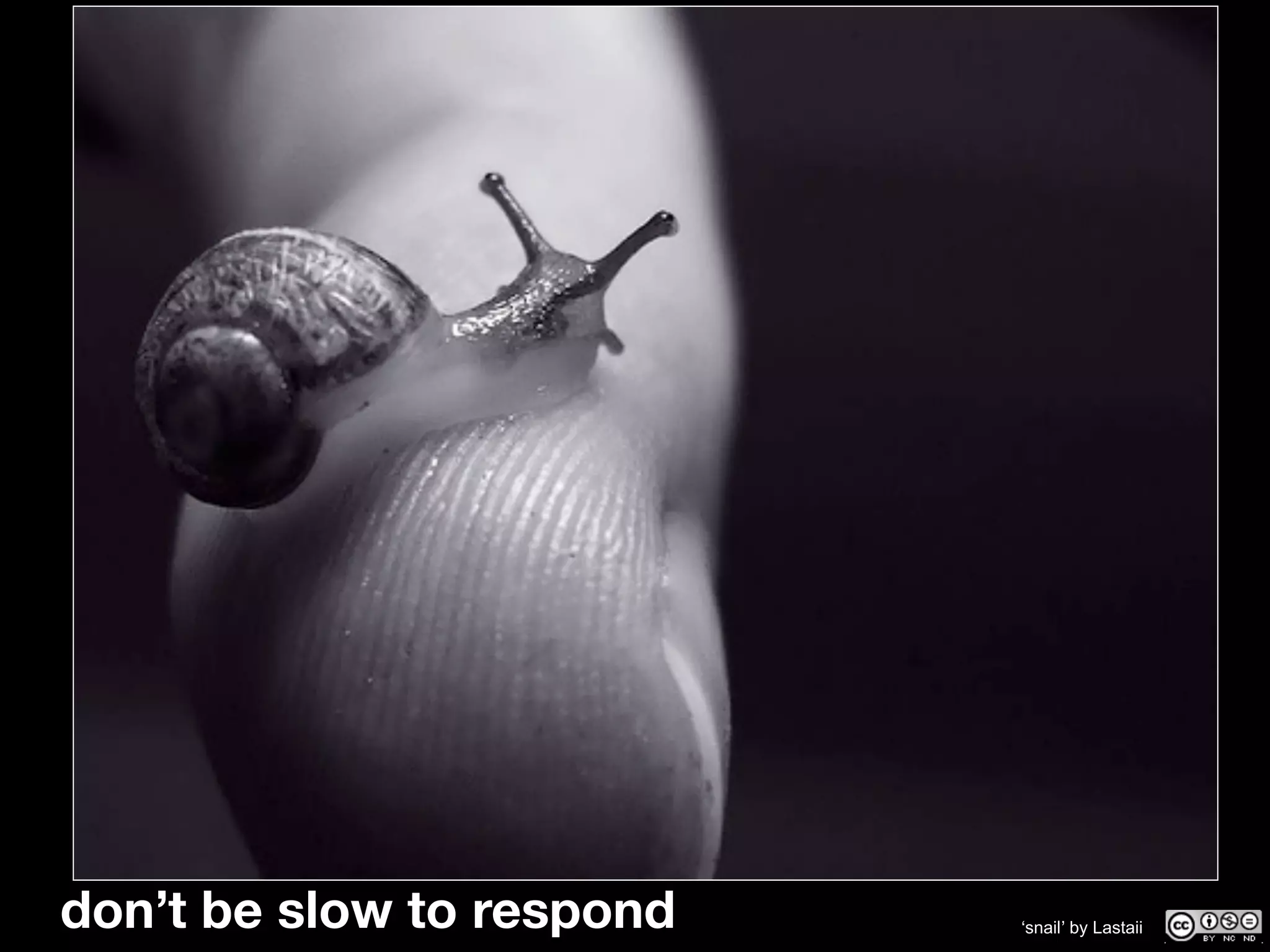 don’t be slow to respond   ʻsnailʼ by Lastaii
 