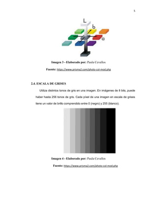 5
Imagen 3 - Elaborado por: Paula Cevallos
Fuente: https://www.prisma2.com/photo-col-mod.php
2.4. ESCALA DE GRISES
Utiliza distintos tonos de gris en una imagen. En imágenes de 8 bits, puede
haber hasta 256 tonos de gris. Cada píxel de una imagen en escala de grises
tiene un valor de brillo comprendido entre 0 (negro) y 255 (blanco).
Imagen 4 - Elaborado por: Paula Cevallos
Fuente: https://www.prisma2.com/photo-col-mod.php
 