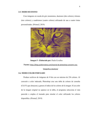 6
2.5. MODO DUOTONO
Crea imágenes en escala de gris monotonos, duotonos (dos colores), tritonos
(tres colores) y cuadritonos (cuatro colores) utilizando de una a cuatro tintas
personalizadas. (Prisma2, 2019)
Imagen 5 - Elaborado por: Paula Cevallos
Fuente: https://blog.aulaformativa.com/tutorial-de-photoshop-convertir-una-
fotografia-a-duotono/
2.6. MODO COLOR INDEXADO
Produce archivos de imágenes de 8 bits con un máximo de 256 colores. Al
convertir a color indexado, Photoshop crea una tabla de colores de consulta
(CLUT) que almacena y genera el índice de los colores de la imagen. Si un color
de la imagen original no aparece en la tabla, el programa selecciona el más
parecido o emplea el tramado para simular el color utilizando los colores
disponibles. (Prisma2, 2019)
 