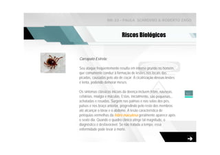 NR-33 - PAULA SCARDINO & ROBERTO ZAGO



                             Riscos Biológicos


Carrapato Estrela:

Seu ataque freqüentemente resulta em intenso prurido no homem,
que comumente conduz à formação de lesões nos locais das
picadas, causadas pelo ato de coçar. A cicatrização dessas lesões
é lenta, podendo demorar meses.

Os sintomas clássicos iniciais da doença incluem febre, náuseas,    50
cefaléias, mialgia e máculas. Estas, inicialmente, são pequenas,
achatadas e rosadas. Surgem nas palmas e nas solas dos pés,
pulsos e nos braço anterior, progredindo pelo resto dos membros
até alcançar o tórax e o abdome. A lesão característica de
petéquias vermelhas da febre maculosa geralmente aparece após
o sexto dia. Quando o quadro clínico atinge tal magnitude, o
diagnóstico é desfavorável. Se não tratada a tempo, essa
enfermidade pode levar à morte.
 