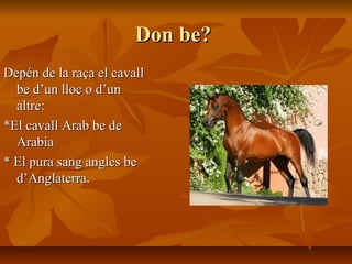 Don be?
Depén de la raça el cavall
  be d’un lloc o d’un
  altre:
*El cavall Arab be de
  Arabia
* El pura sang angles be
  d’Anglaterra.
 
