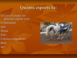Quants esports fa:
Els cavalls poden fer
   diferents esports com:
El Horseball
Salt
Doma
Polo
Carreras a hipodrom
Raid
etc
 