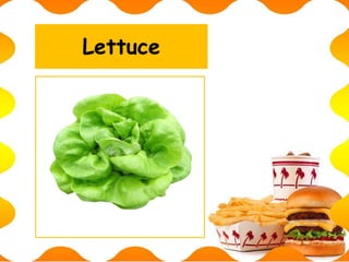 Lettuce
 