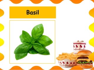 Basil
 