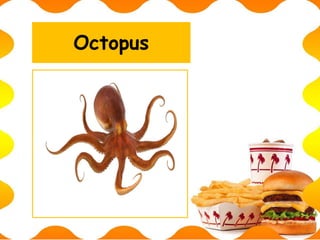 Octopus
 