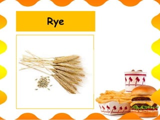 Rye
 