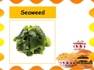 Seaweed
 