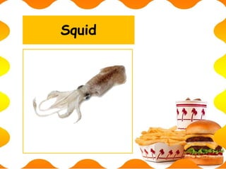 Squid
 