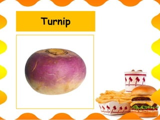 Turnip
 