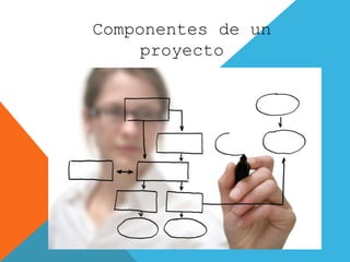 Componentes de un
proyecto
 