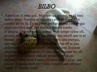 BILBO
• Aquest es el meu gos. Més que un animal, es el meu
millor amic. Sempre m’escolta i encara que no ho
sembli ell ho fa. Es un plaer arribar a casa i saber que
algú em rebrà amb una rialla, i donant tombs
d’alegria. Que no podria passar molt temps sense ell,
la casa estaria buida. M’encanta el seu soroll que te al
bordar. Quan jugo amb ell, te sempre una energia,
que mai s’apaga, sempre està actiu. Ara ell te una
enfermetat, ‘leishmaniosis’, però per sort, li estem
tractant amb medicació i li esta anant bastant bé, ell
segueix amb la seva vida de sempre, es tot un
lluitador. Sols en te 6 anys, és molt jove i jo se, que
encara li queda molt per viure, i espero que al meu
costat. L’estimo molt!
 