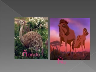 ñandú
        Ñu
 