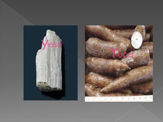yeso
       Yuca
 