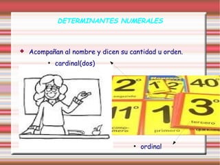 DETERMINANTES NUMERALES



   Acompañan al nombre y dicen su cantidad u orden.
         ●
             cardinal(dos)




                                    ●
                                        ordinal
 