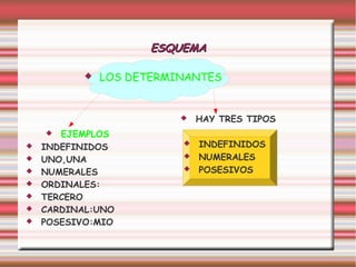 ESQUEMA

              LOS DETERMINANTES


                             HAY TRES TIPOS
      EJEMPLOS
   INDEFINIDOS              INDEFINIDOS
   UNO,UNA                  NUMERALES
   NUMERALES                POSESIVOS
   ORDINALES:
   TERCERO
   CARDINAL:UNO
   POSESIVO:MIO
 