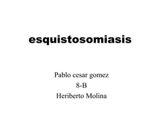 esquistosomiasis 
Pablo cesar gomez 
8-B 
Heriberto Molina 
 