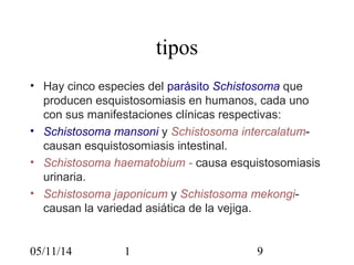 tipos 
• Hay cinco especies del parásito Schistosoma que 
producen esquistosomiasis en humanos, cada uno 
con sus manifestaciones clínicas respectivas: 
• Schistosoma mansoni y Schistosoma intercalatum-causan 
esquistosomiasis intestinal. 
• Schistosoma haematobium - causa esquistosomiasis 
urinaria. 
• Schistosoma japonicum y Schistosoma mekongi-causan 
la variedad asiática de la vejiga. 
05/11/14 1 9 
 