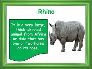 Puala Riddle Mammals riddles | PPTX
