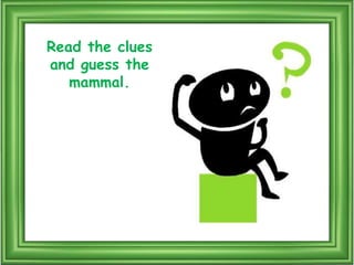 Puala Riddle Mammals riddles | PPTX