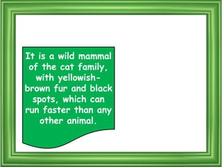 Puala Riddle Mammals riddles | PPTX