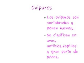 Ovíparos  Los ovíparos son vertebrados y ponen huevos. Se clasifican en: aves, anfibios,reptiles y gran parte de peces. 