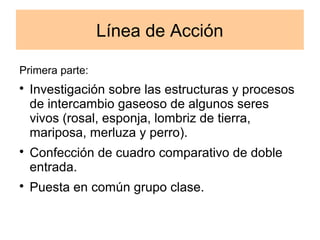 Línea de Acción 
Primera parte: 
 Investigación sobre las estructuras y procesos 
de intercambio gaseoso de algunos seres 
vivos (rosal, esponja, lombriz de tierra, 
mariposa, merluza y perro). 
 Confección de cuadro comparativo de doble 
entrada. 
 Puesta en común grupo clase. 
 