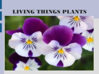 LIVING THINGS PLANTS
Título
 