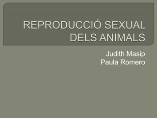 Judith Masip
Paula Romero
 