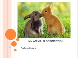 MY ANIMALS DESCRIPTION 
Paula and Laura 
 