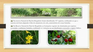 Flora
Na reserva Natural do Paul do Boquilobo foram identificadas 317 espécies, verificando-se que a
maioria está bem adaptada à falta de arejamento do solo, característica de zonas húmidas.
Na Reserva Natural do Paul do Boquilobo as formações vegetais são dominadas por espécies
associadas a ambientes húmidos, verificando-se variações na sua distribuição consoante o regime hídrico.
 