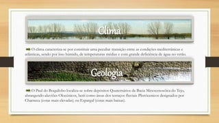 Clima
O clima caracteriza-se por constituir uma peculiar transição entre as condições mediterrânicas e
atlânticas, sendo por isso húmido, de temperaturas médias e com grande deficiência de água no verão.
O Paul do Boquilobo localiza-se sobre depósitos Quaternários da Bacia Mesocenosóica do Tejo,
abrangendo aluviões Olocénicos, bem como áreas dos terraços fluviais Plistócenicos designados por
Charneca (cotas mais elevadas) ou Espargal (cotas mais baixas).
Geologia
 