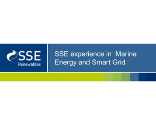 SSE experience in  Marine Energy and Smart Grid  