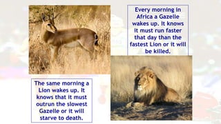 Every morning in
Africa a Gazelle
wakes up. It knows
it must run faster
that day than the
fastest Lion or it will
be killed.
The same morning a
Lion wakes up. It
knows that it must
outrun the slowest
Gazelle or it will
starve to death.
 