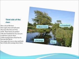 Third side of the river. Wow a lot of life here! Once again clear and soft water. The trees this time are FULL of life. There leaves are perfect! I like the Grassland its very nice you Could have a picnic there. A little swampy down there but its fine just don’t go in. Once again the river is clear and fresh but it looks abit swampy down there. 1.More trees 2.Grassland 3.Swampy River 