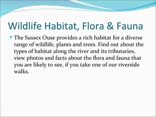 Wildlife Habitat, Flora & Fauna The Sussex Ouse provides a rich habitat for a diverse range of wildlife, plants and trees. Find out about the types of habitat along the river and its tributaries, view photos and facts about the flora and fauna that you are likely to see, if you take one of our riverside walks. 