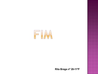Rita Braga nº 28-11ºF 
