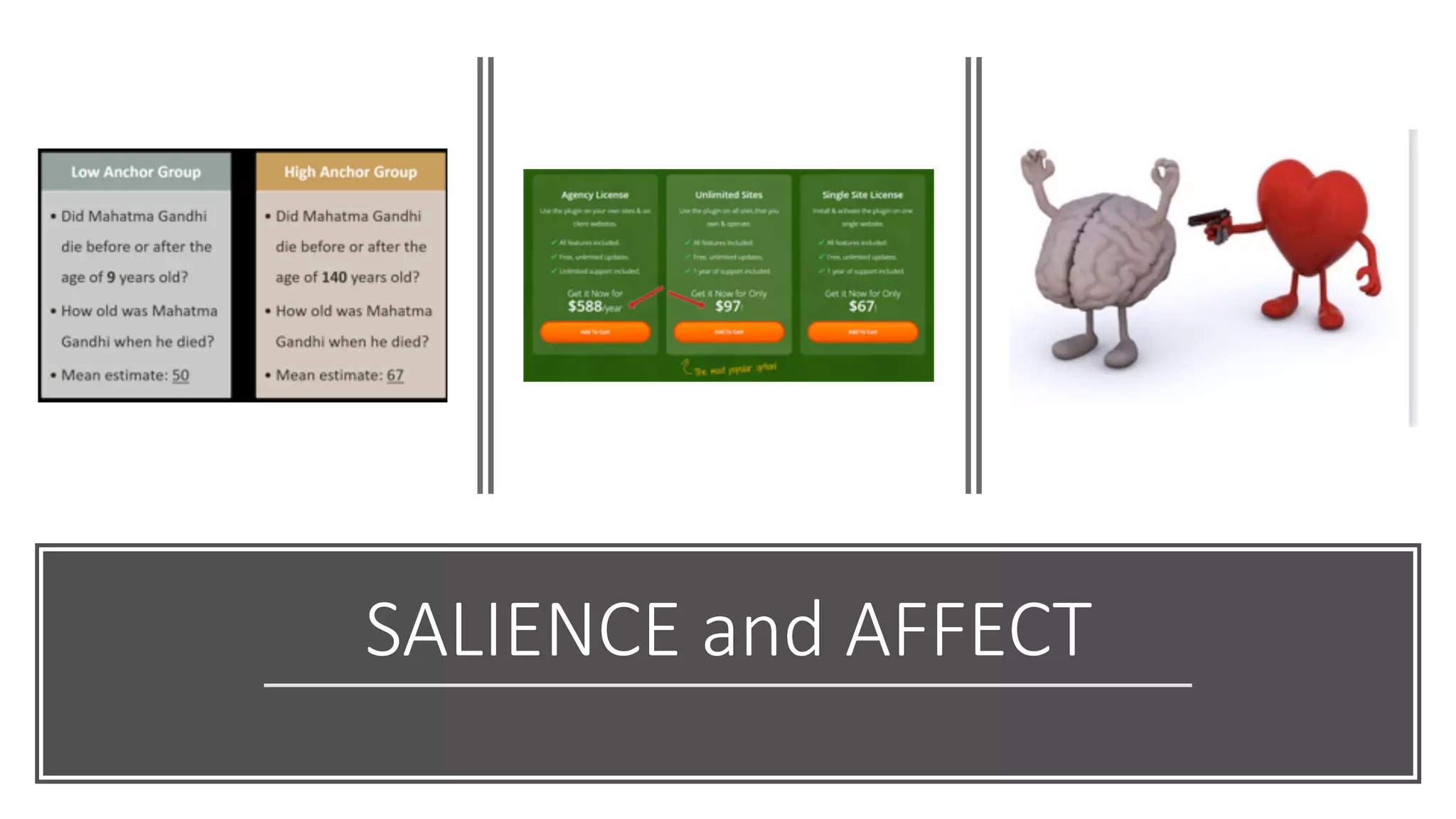 SALIENCE and AFFECT
 