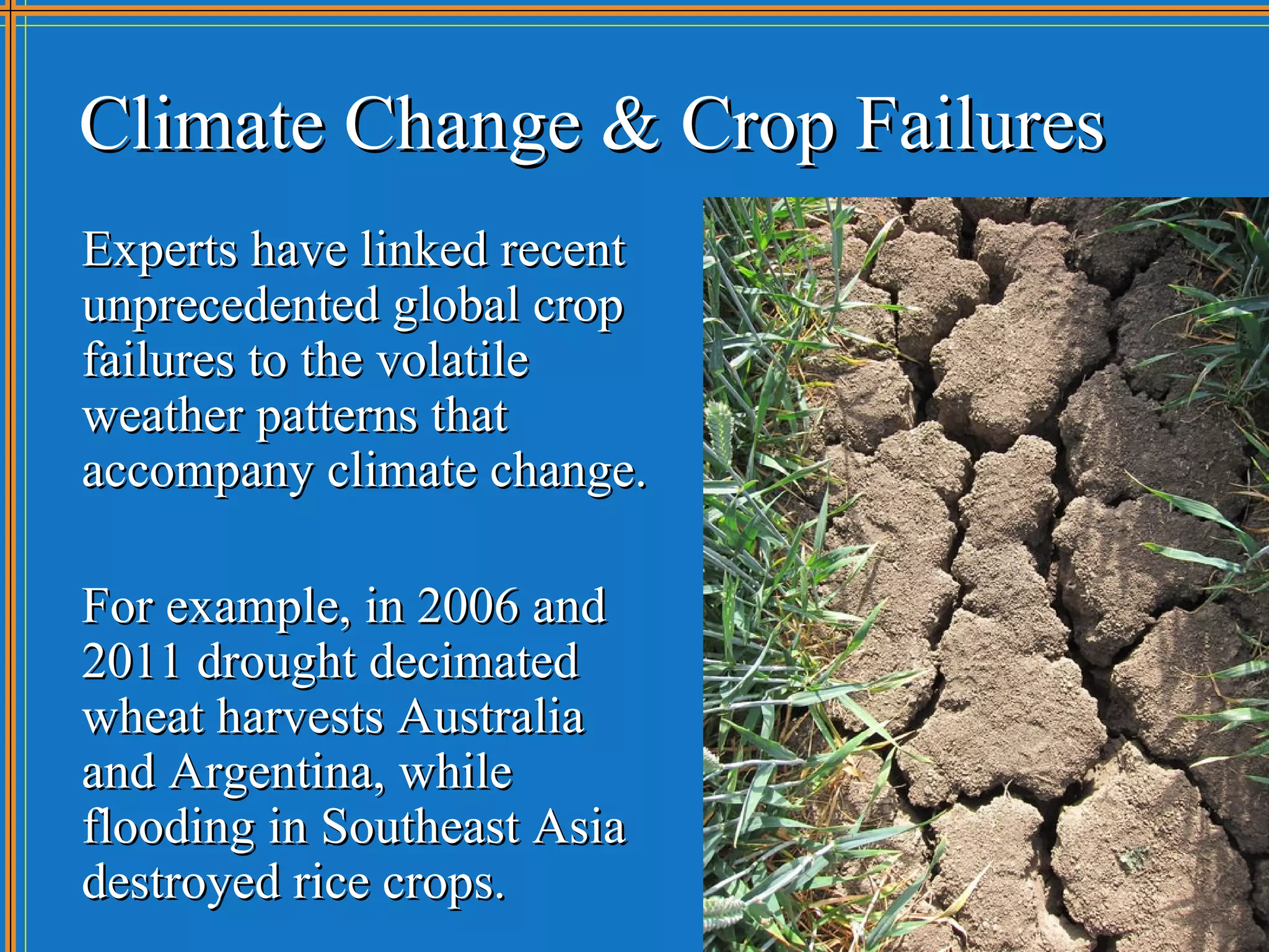 Climate Change & Crop Failures
Experts have linked recent
unprecedented global crop
failures to the volatile
weather patterns that
accompany climate change.

For example, in 2006 and
2011 drought decimated
wheat harvests Australia
and Argentina, while
flooding in Southeast Asia
destroyed rice crops.
 