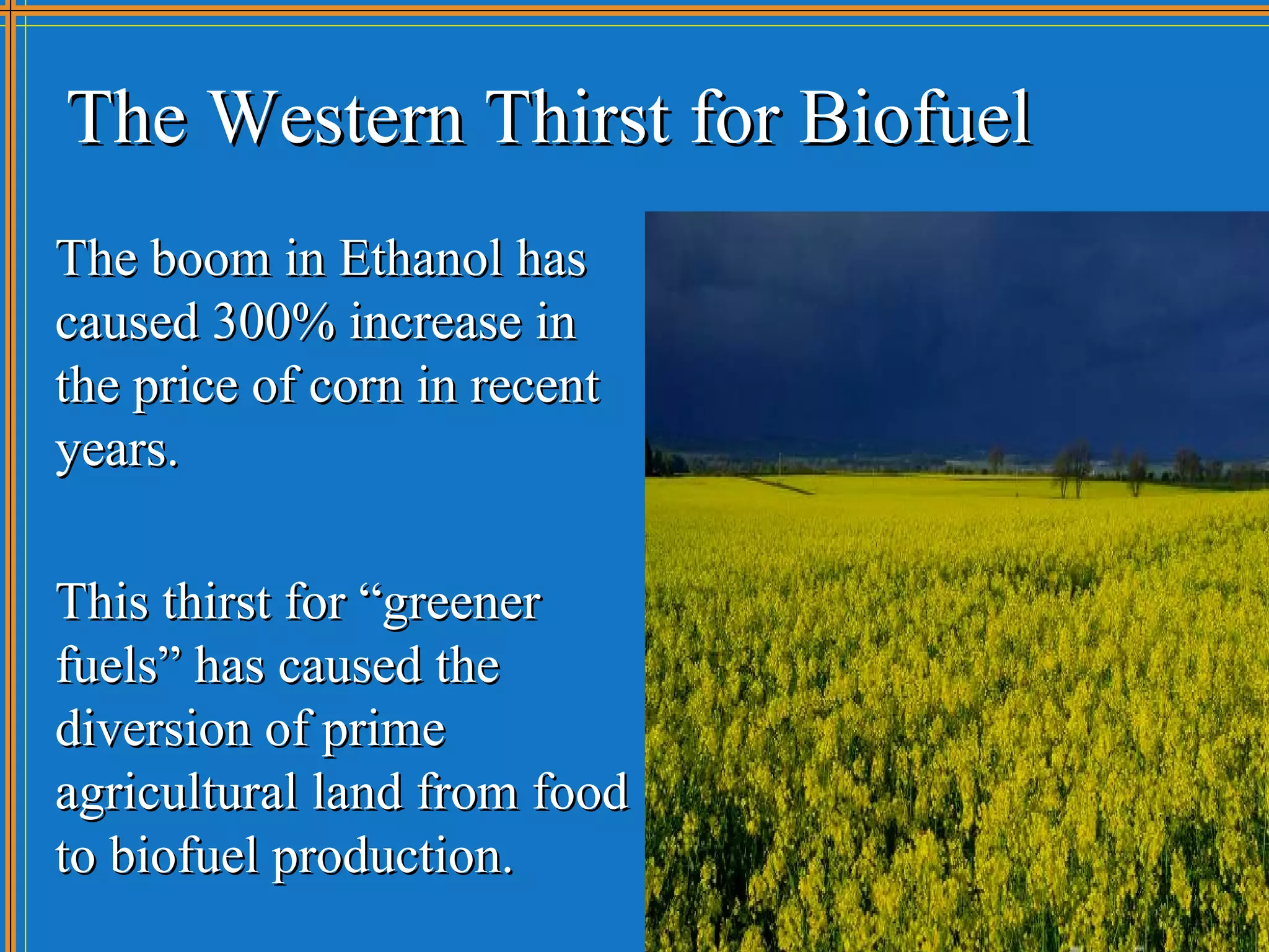 The Western Thirst for Biofuel
The boom in Ethanol has
caused 300% increase in
the price of corn in recent
years.

This thirst for “greener
fuels” has caused the
diversion of prime
agricultural land from food
to biofuel production.
 