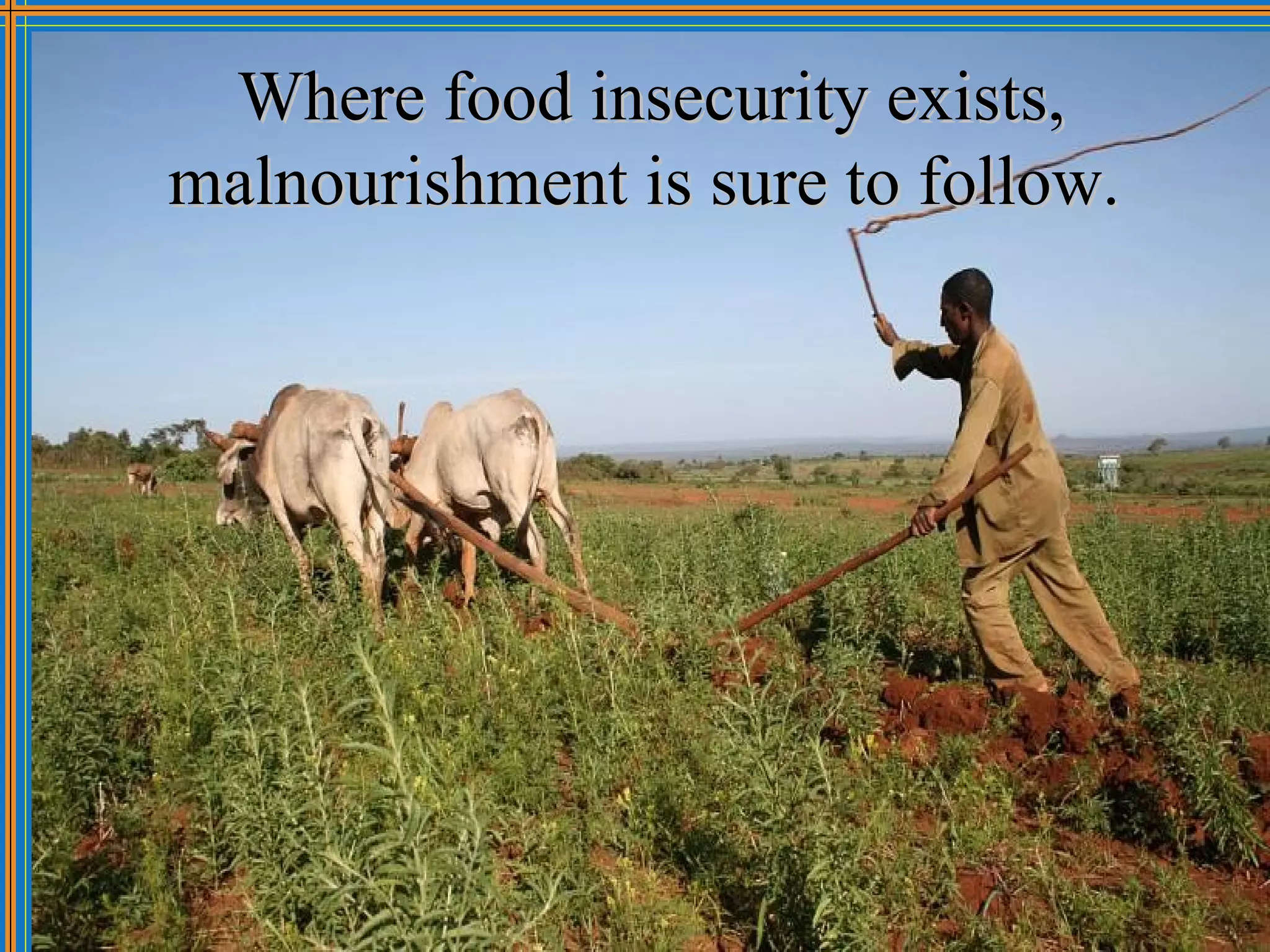 Where food insecurity exists,
malnourishment is sure to follow.
 