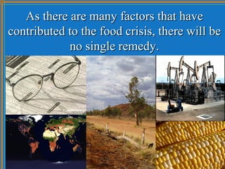 As there are many factors that have
contributed to the food crisis, there will be
            no single remedy.
 