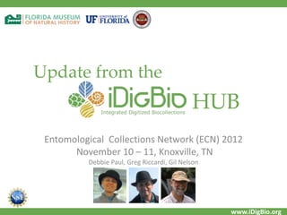 www.iDigBio.org
Update from the
Entomological Collections Network (ECN) 2012
November 10 – 11, Knoxville, TN
Debbie Paul, Greg Riccardi, Gil Nelson
HUB
 