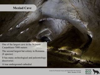 Meziad Cave

One of the largest cave in the Western
Carpathians-7000 meters
The second largest bat colony in Romania
(8 species)
It has many archeological and paleontology
discoveries
A true underground cathedral
Center for Protected Areas and Sustainable Development
Bihor, Member of AER

 