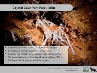 Crystal Cave from Farcu Mine

•
•
•
•
•

It has been discovered in 1987, in a former bauxite mine;
Soon after, 70 % of it was destroyed by the locals
It used to be a “geode”, closed cave (no links with the surface)
The access in the cave is done through a mine gallery of 250 m;
It is famous for the presence of calcite crystals;

Center for Protected Areas and Sustainable Development
Bihor, Member of AER

 